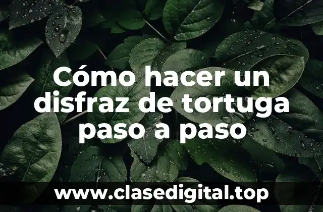 Cómo hacer un disfraz de tortuga paso a paso