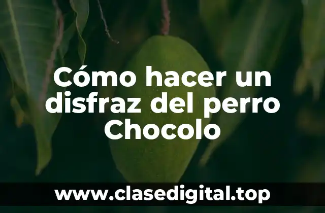 Cómo hacer un disfraz del perro Chocolo