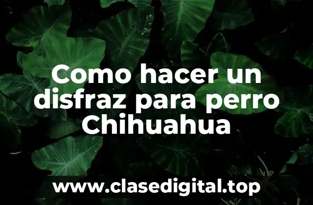 Como hacer un disfraz para perro Chihuahua