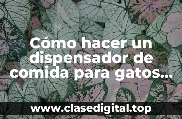 Cómo hacer un dispensador de comida para gatos automático