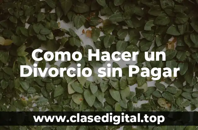 Como Hacer un Divorcio sin Pagar