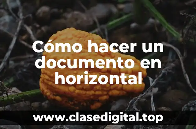 Cómo hacer un documento en horizontal