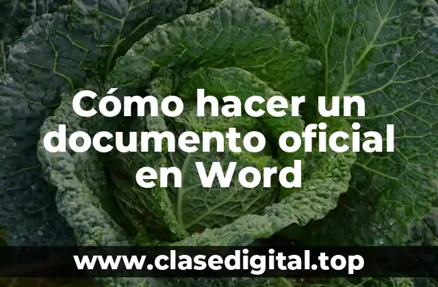 Cómo hacer un documento oficial en Word