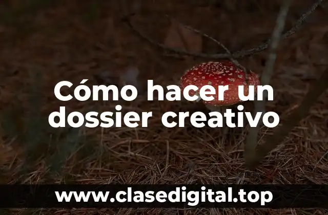 ¿Qué es un dossier creativo?