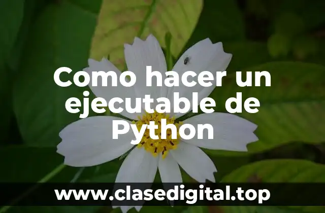 ¿Qué es un ejecutable de Python?