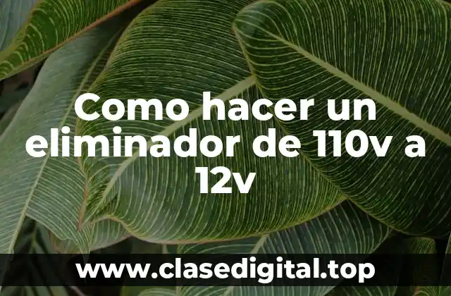 Como hacer un eliminador de 110v a 12v