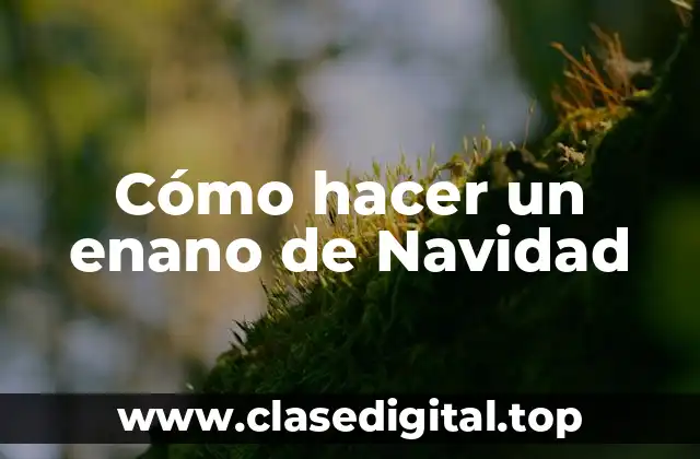 Cómo hacer un enano de Navidad