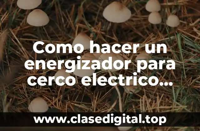 Como hacer un energizador para cerco electrico casero