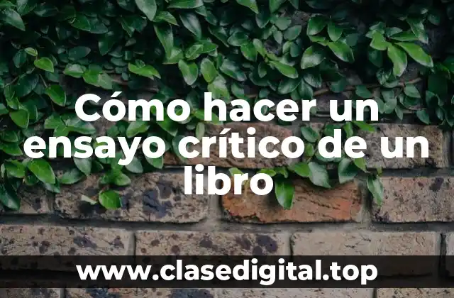 Cómo hacer un ensayo crítico de un libro