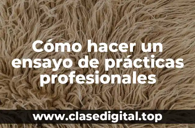 Cómo hacer un ensayo de prácticas profesionales
