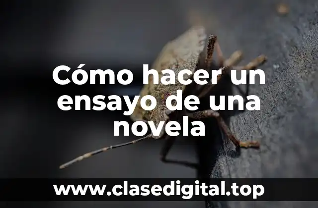 Cómo hacer un ensayo de una novela