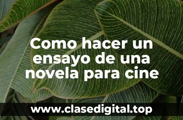 Como hacer un ensayo de una novela para cine
