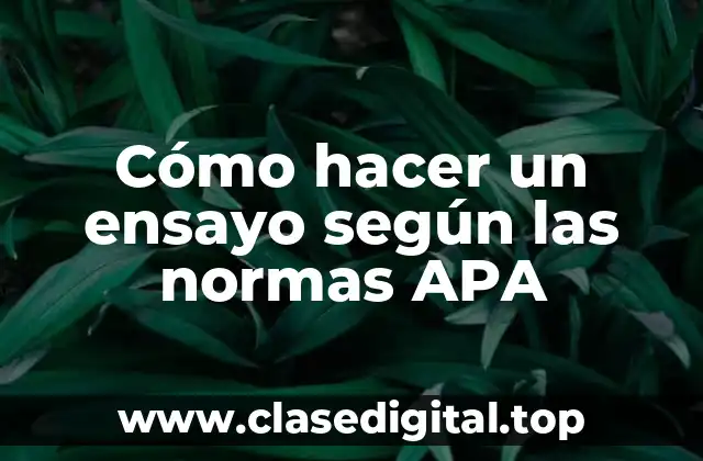 Cómo hacer un ensayo según las normas APA