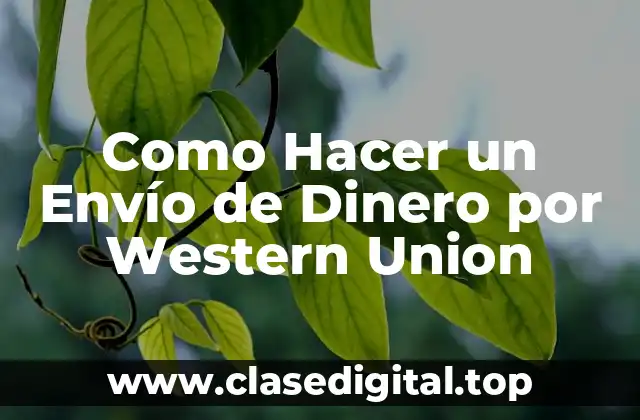 Como Hacer un Envío de Dinero por Western Union