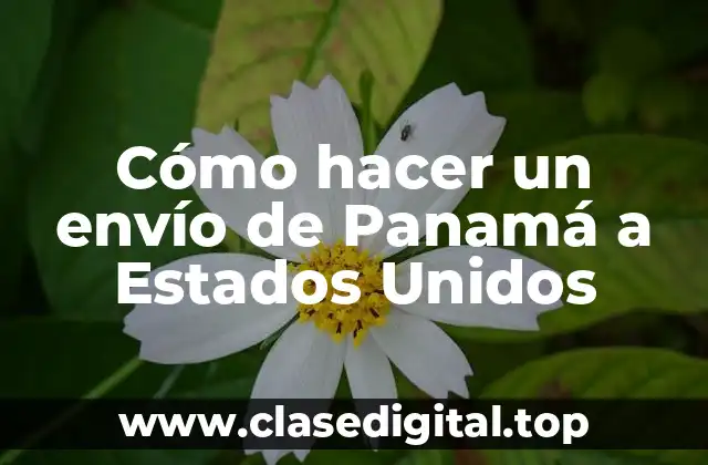 Cómo hacer un envío de Panamá a Estados Unidos