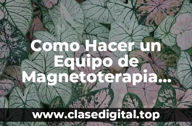 ¿Qué es la Magnetoterapia y Cómo Funciona?