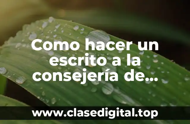 Como hacer un escrito a la consejería de educación