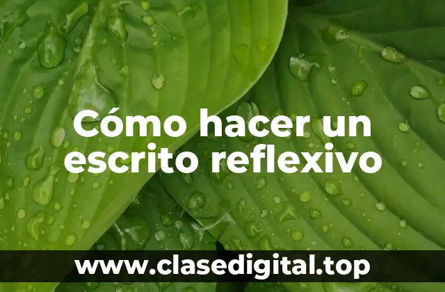 Cómo hacer un escrito reflexivo