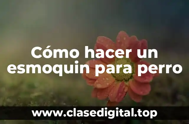 Cómo hacer un esmoquin para perro