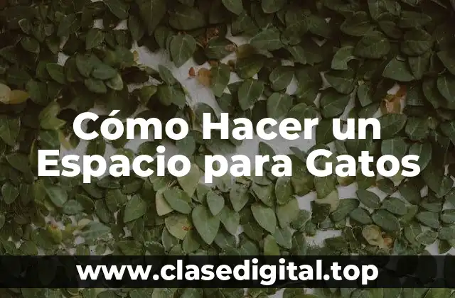 Cómo Hacer un Espacio para Gatos