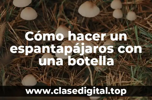 Cómo hacer un espantapájaros con una botella
