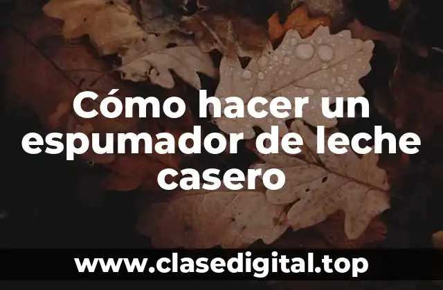 Cómo hacer un espumador de leche casero