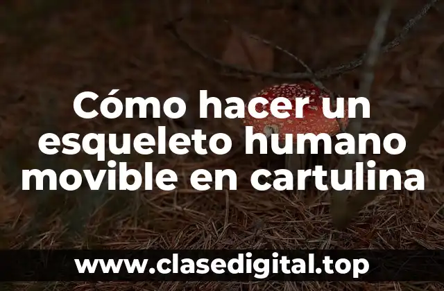 Un esqueleto humano movible en cartulina: ¿Qué es y para qué sirve?