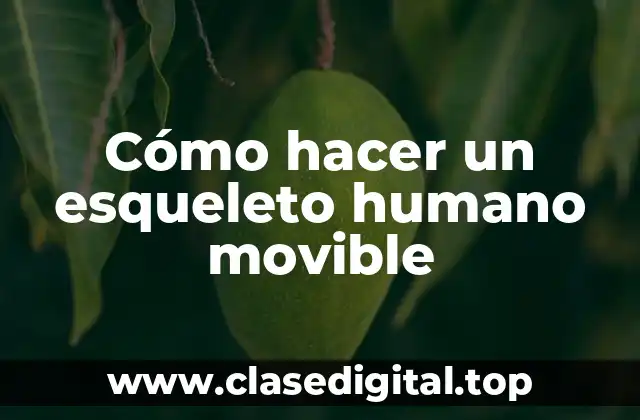 Cómo hacer un esqueleto humano movible