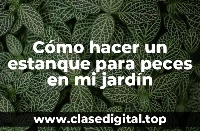 Qué es un estanque para peces y cómo funciona