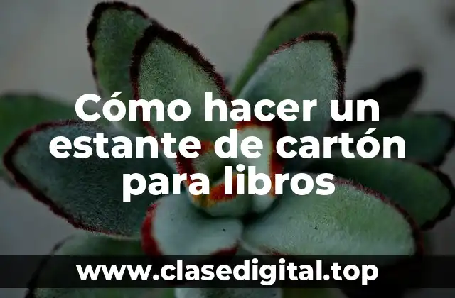 Cómo hacer un estante de cartón para libros