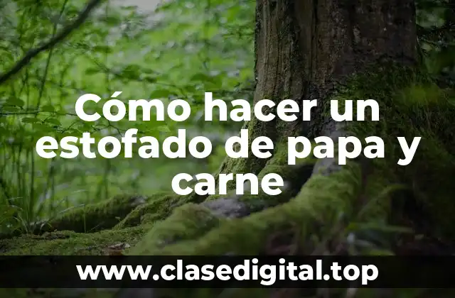 Cómo hacer un estofado de papa y carne