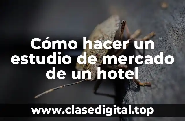 Cómo hacer un estudio de mercado de un hotel