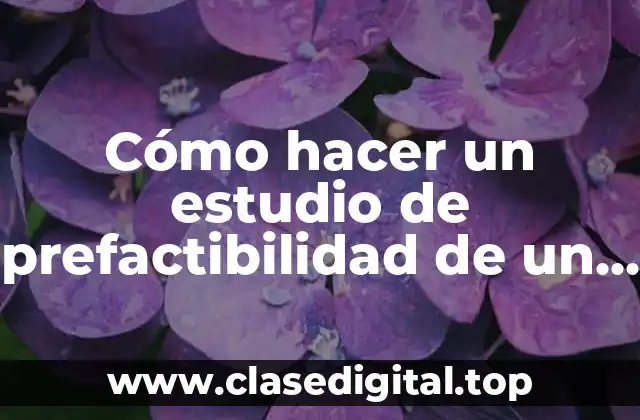 Cómo hacer un estudio de prefactibilidad de un proyecto