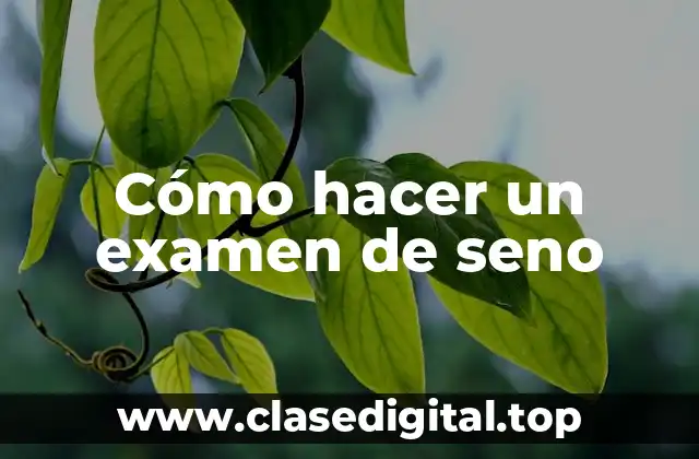 ¿Qué es el examen de seno y para qué sirve?