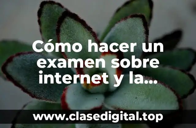 Cómo hacer un examen sobre internet y la investigación periodística