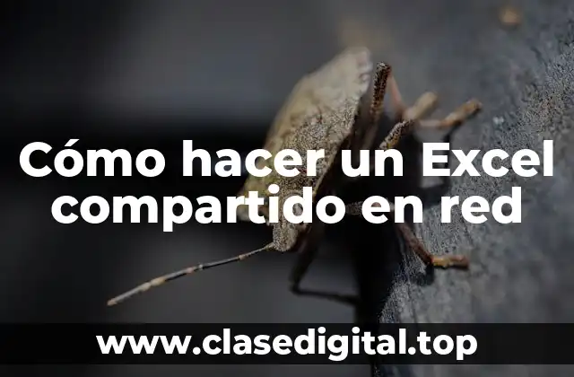Cómo hacer un Excel compartido en red
