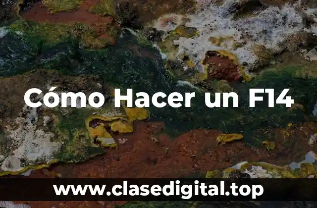 Cómo Hacer un F14