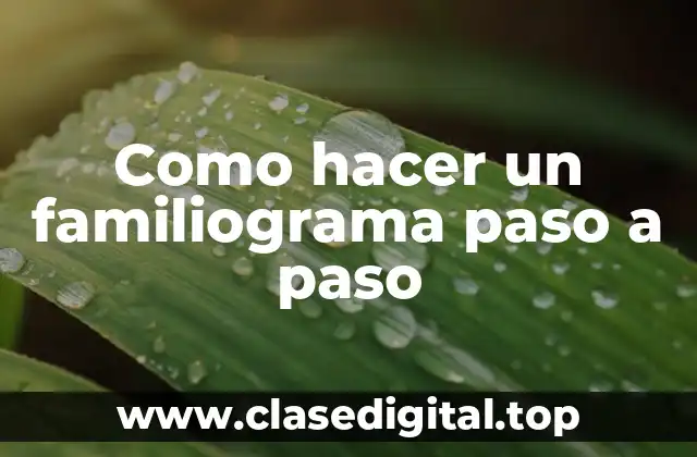 Como hacer un familiograma paso a paso