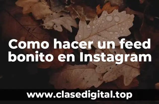 Como hacer un feed bonito en Instagram