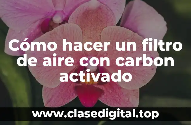 Cómo hacer un filtro de aire con carbon activado