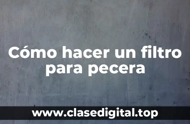 Cómo hacer un filtro para pecera