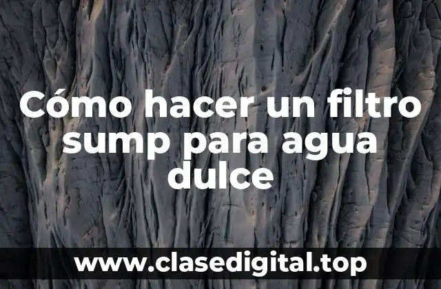 Cómo hacer un filtro sump para agua dulce