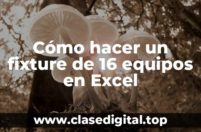 ¿Qué es un fixture de 16 equipos en Excel?