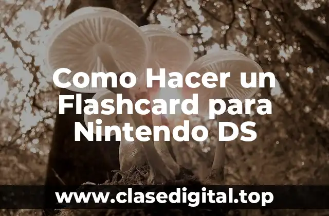 Como Hacer un Flashcard para Nintendo DS