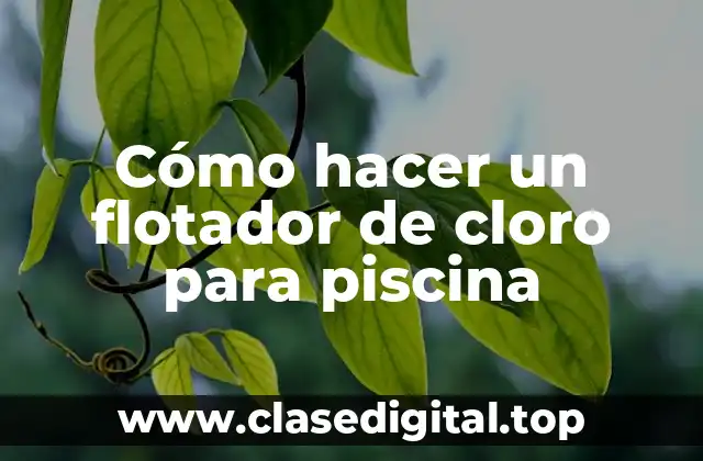 ¿Qué es un flotador de cloro para piscina?