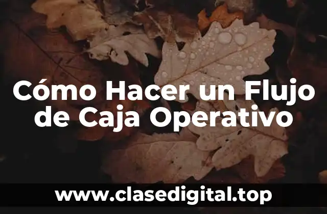 ¿Qué es un Flujo de Caja Operativo?