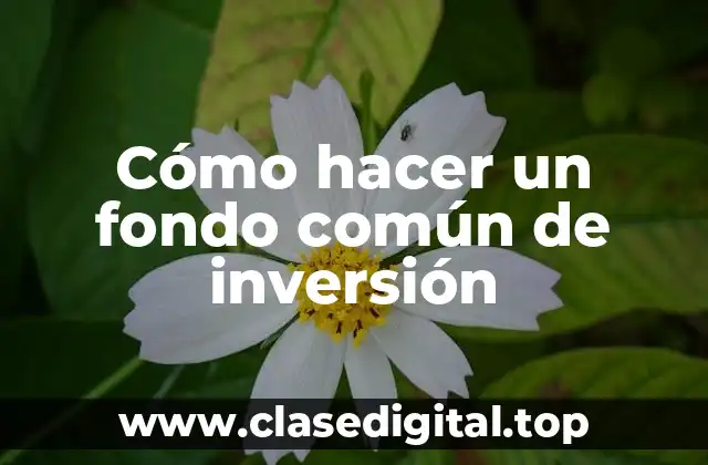 Cómo hacer un fondo común de inversión