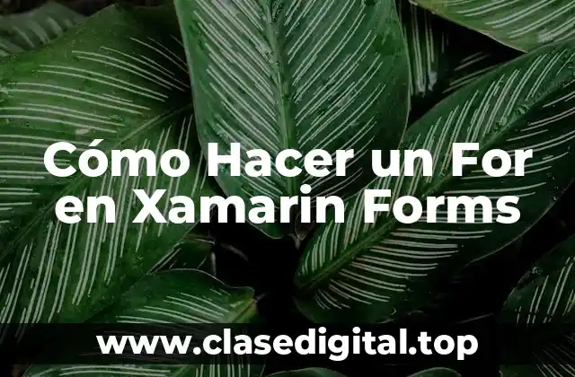 Cómo Hacer un For en Xamarin Forms