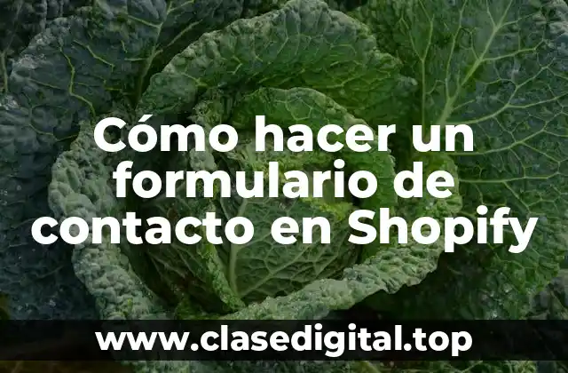Cómo hacer un formulario de contacto en Shopify