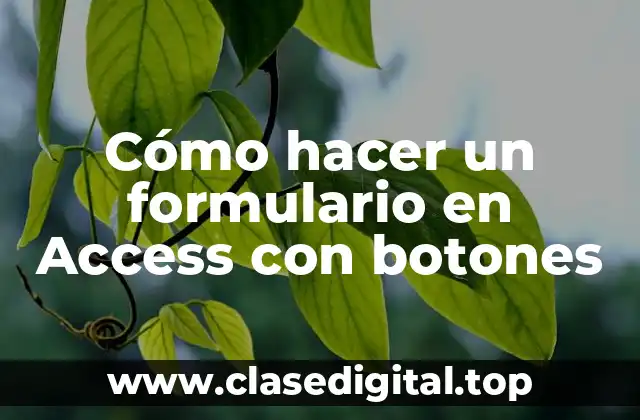 Cómo hacer un formulario en Access con botones